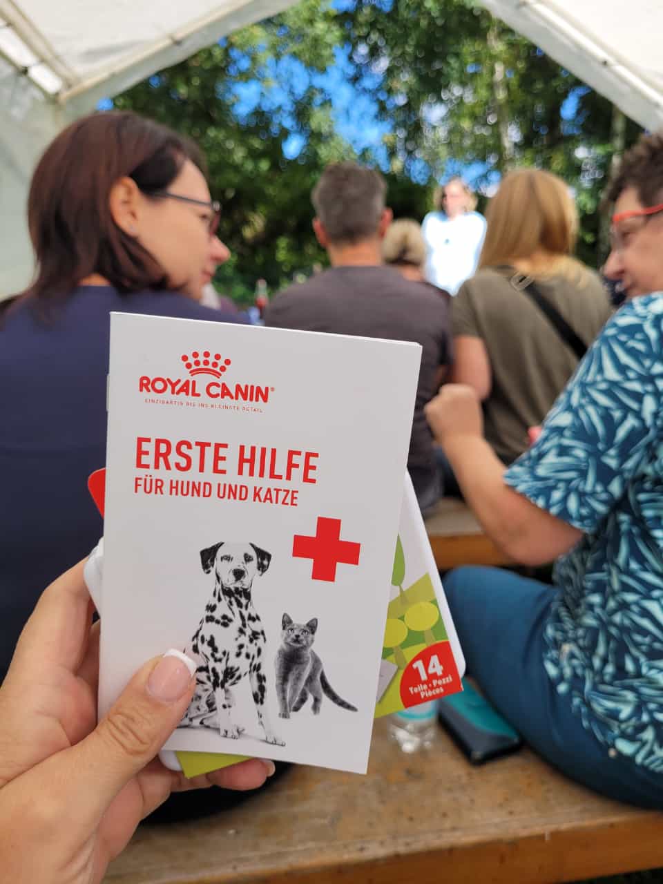 Erste hilfe