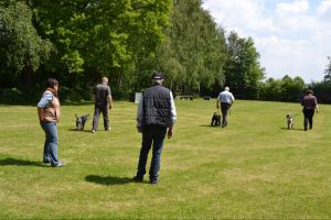 bh ad bergkamen 2014a