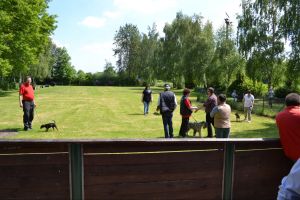 bh ad bergkamen 2014a