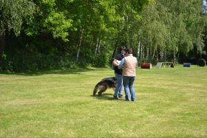 bh ad bergkamen 2014a