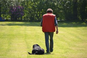 bh ad bergkamen 2014a