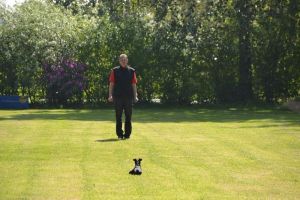 bh ad bergkamen 2014 77a