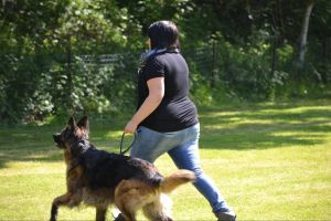 bh ad bergkamen 2014a