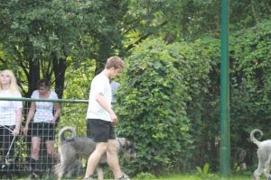 dm psk thscastroprauxel