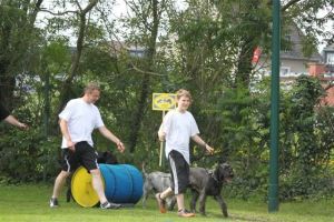 dm psk thscastroprauxel