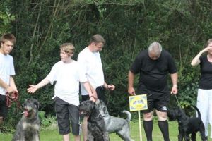 dm psk thscastroprauxel