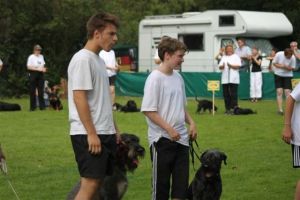 dm psk thscastroprauxel