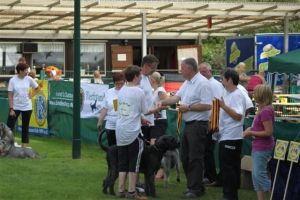 dm psk thscastroprauxel