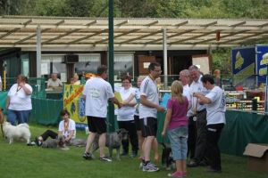 dm psk thscastroprauxel