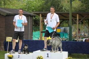 dm psk thscastroprauxel