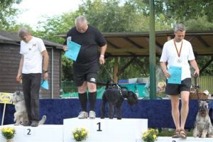 dm psk thscastroprauxel