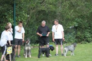 dm psk thscastroprauxel