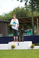 dm psk thscastroprauxel