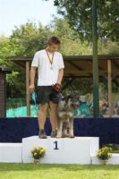 dm psk thscastroprauxel