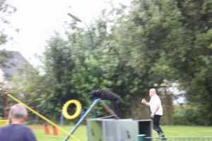 dm psk thscastroprauxel