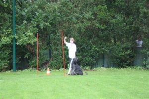 dm psk thscastroprauxel