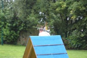 dm psk thscastroprauxel