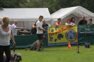 dm psk thscastroprauxel