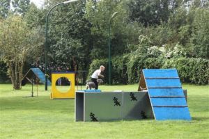 dm psk thscastroprauxel