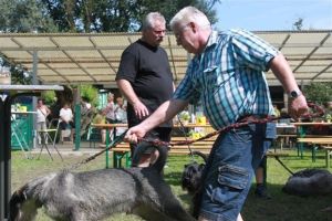 dm psk thscastroprauxel