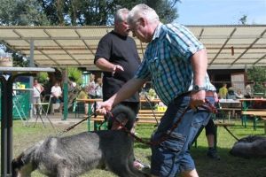 dm psk thscastroprauxel