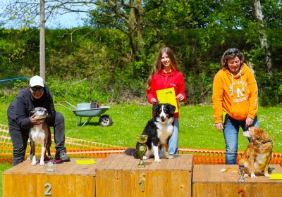 Dogs Hunderennen 26.04.2026