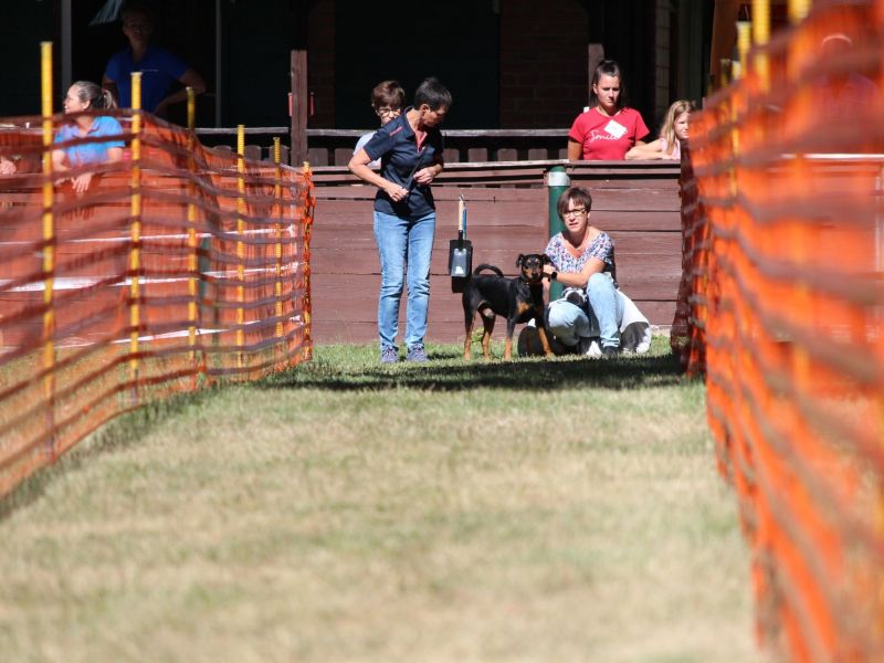 hunderennen 07 08 22l1