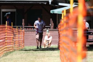 hunderennen 07 08 22l1