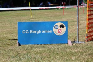 hunderennen 07 08 22l1