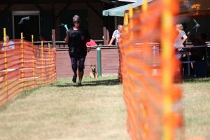 hunderennen 07 08 22l1