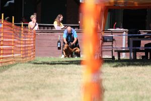 hunderennen 07 08 22l1