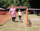 hunderennen 07 08 22l1