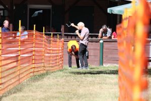 hunderennen 07 08 22l1