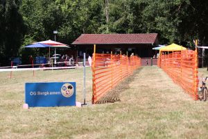 hunderennen 07 08 22l2