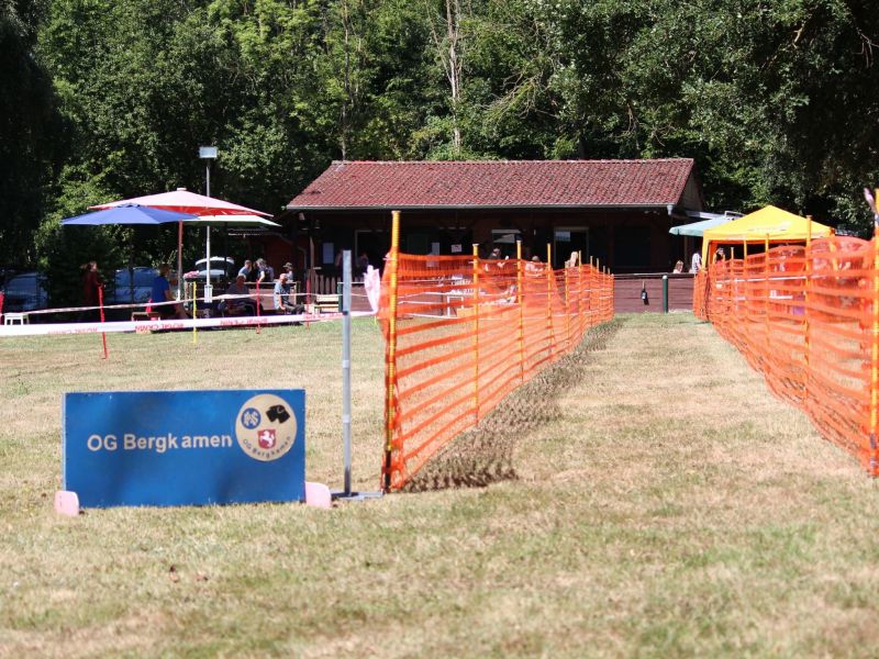 hunderennen 07 08 22l2