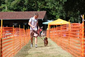 hunderennen 07 08 22l2