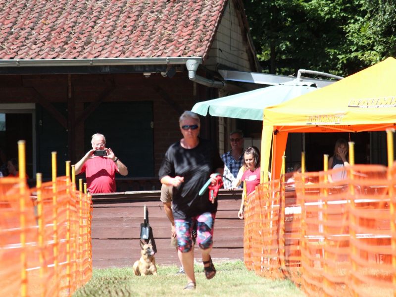 hunderennen 07 08 22l2