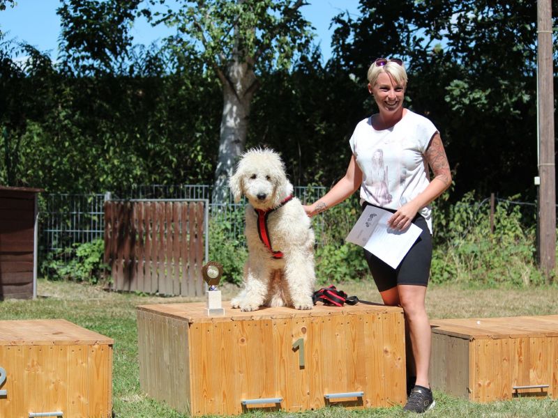 hunderennen 07 08 22l2