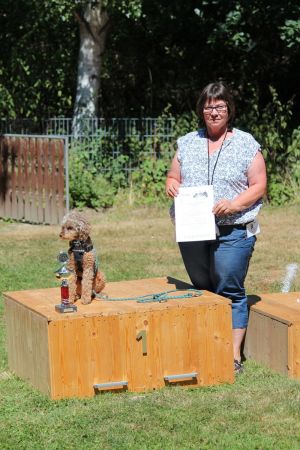 hunderennen 07 08 22l2