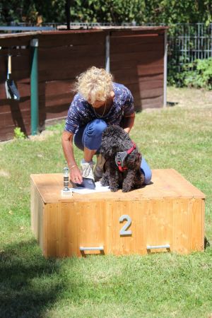 hunderennen 07 08 22l2