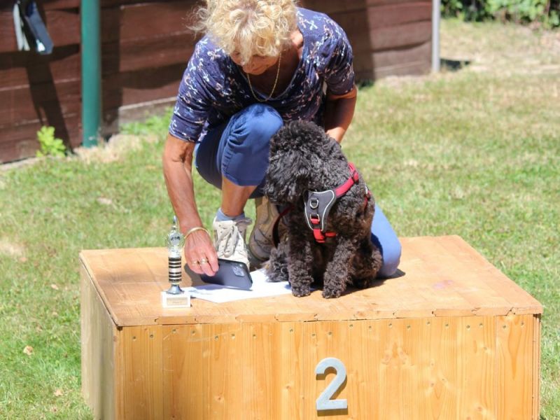 hunderennen 07 08 22l2