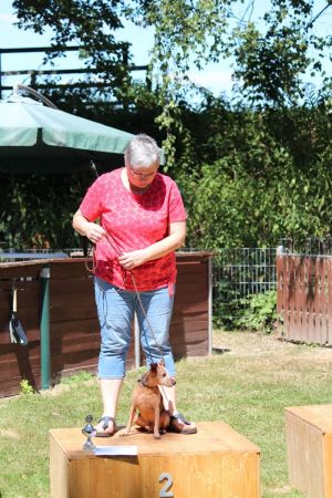 hunderennen 07 08 22l2