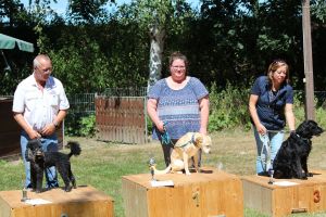 hunderennen 07 08 22l2