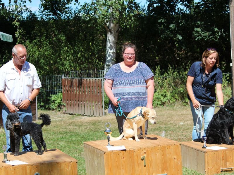 hunderennen 07 08 22l2
