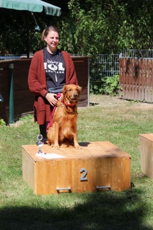 hunderennen 07 08 22l2