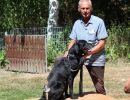 hunderennen 07 08 22l2