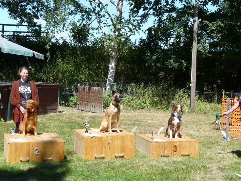 hunderennen 07 08 22l2