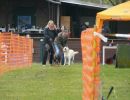 hunderennen 16 04 23