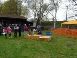 hunderennen 16 04 23