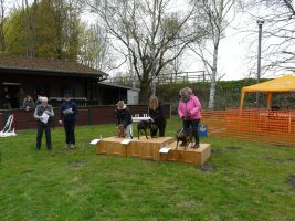 hunderennen 16 04 23